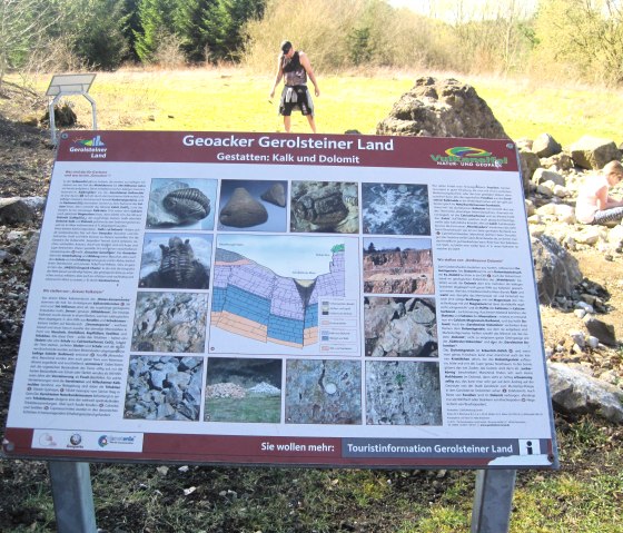 Infotafel Geoacker - Kalk und Dolomit, © Touristik GmbH Gerolsteiner Land, Ute Klinkhammer