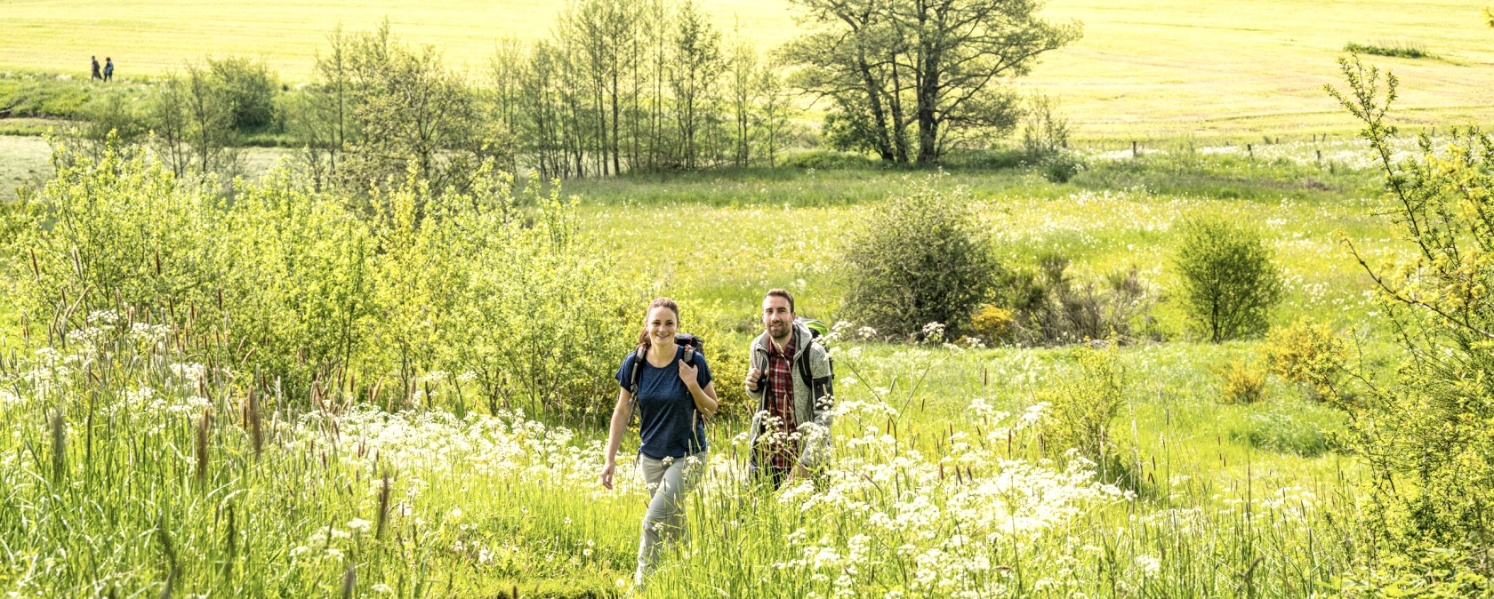 Wandern, © Eifel Tourismus GmbH, Dominik ketz