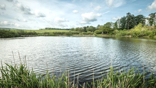 ET-2019-371-Vulcanpfad, Eichholzmaar, © Eifel Tourismus GmbH, Dominik Ketz