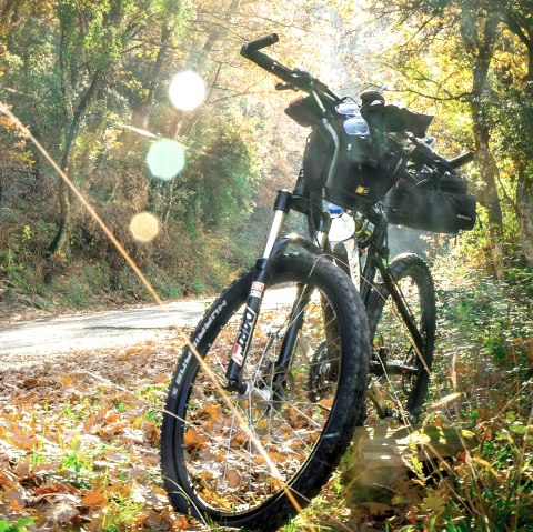 Radfahren im Herbst, © Pixabay