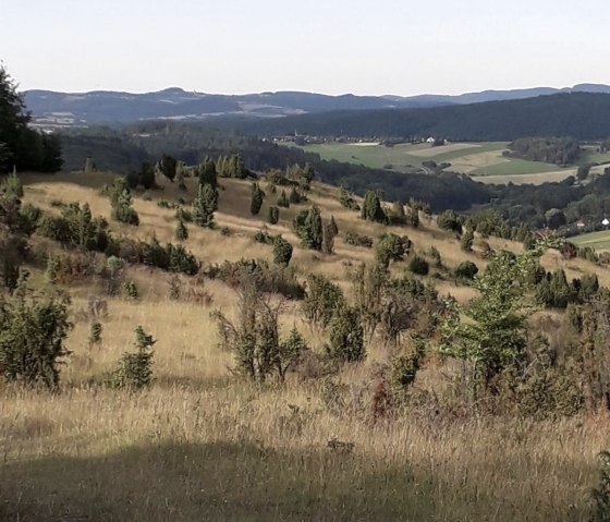 Wacholderheide, © Familie Schumacher