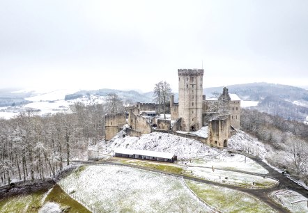 Adler- und Wolfspark im Winter, © Eifel Tourismus GmbH, Dominik Ketz