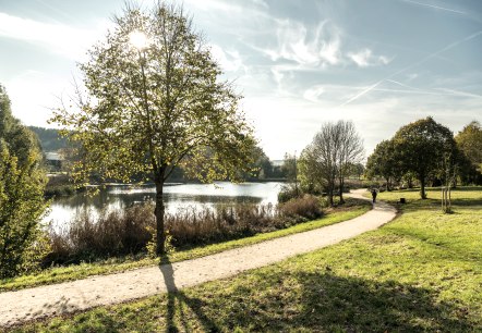 Eifelsteig-2019-118-Bolsdorfer Tälchen, Hillesheim © Eifel Tourismus GmbH, Dominik Ketz, © Eifel Tourismus GmbH, Dominik Ketz