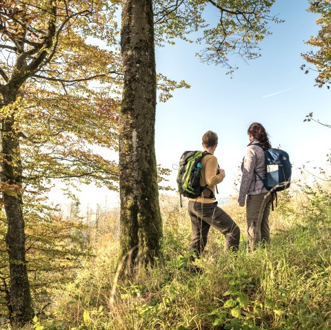 Eifel Wanderer, © Eifel Tourismus GmbH, Dominik Ketz