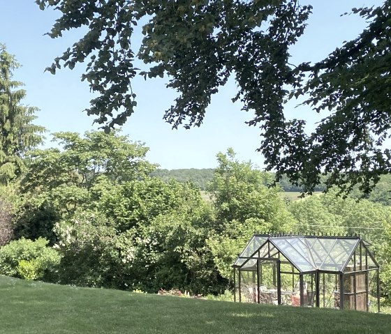 Glashaus im Sommer, © Judith Pütz-Kurth