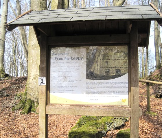 Infotafel Freudenkoppe, © Touristik GmbH Gerolsteiner Land, Ute Klinkhammer