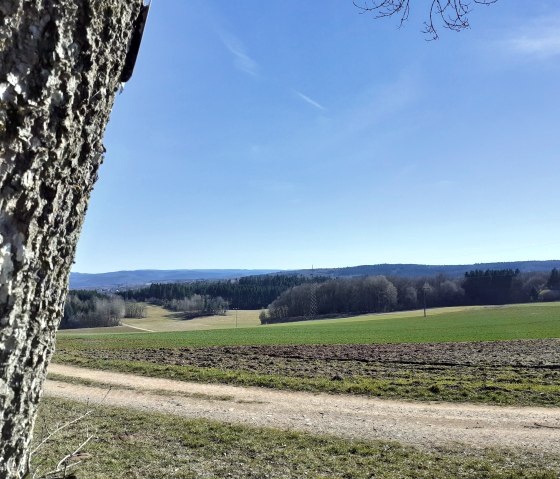 Weitblick 2, © Touristik GmbH Gerolsteiner Land, Ute Klinkhammer