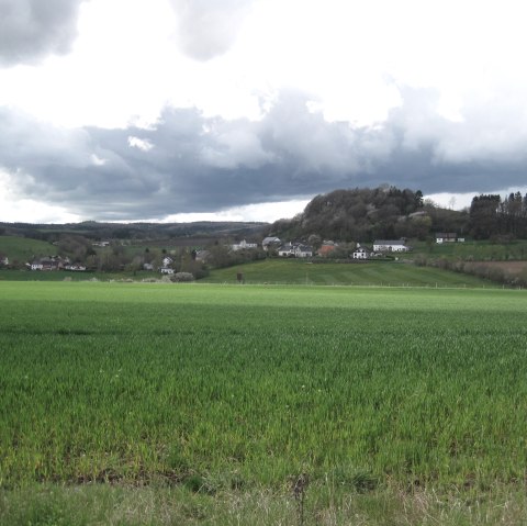 Blick Richtung Basberg