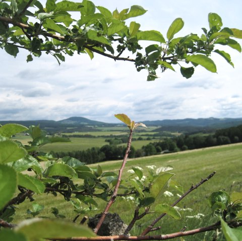 Ausblick Leudersdorf, © Touristik GmbH Gerolsteiner Land, Ute Klinkhammer