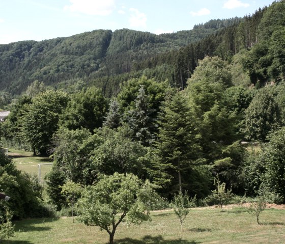 Blick von Terrasse