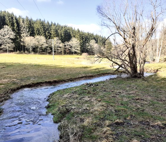 Nohner Bach, © Touristik GmbH Gerolsteiner Land, Ute Klinkhammer