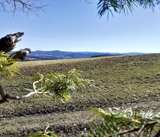 Ausblick von der Ooser Nase, © Touristik GmbH Gerolsteiner Land, Ute Klinkhammer