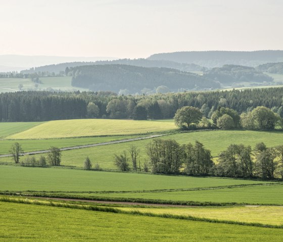 ET-2019-320-Vulcanpfad, Steffelnkopf © Eifel Tourismus GmbH, Dominik Ketz, © Eifel Tourismus GmbH, Dominik Ketz