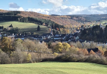 stadtkyll-panorama