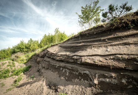 Vulkaneifel, © Eifel Tourismus GmbH, Dominik Ketz