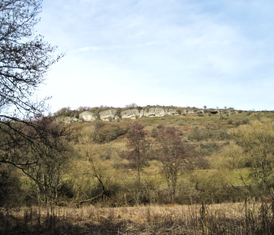 Ausblick Wöllersberg Hinterhausen, © Touristik GmbH Gerolsteiner Land, Ute Klinkhammer