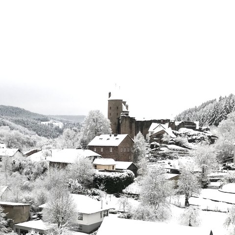 Bertradaburg Winter, © Frau Dr. Manuela Wulfert