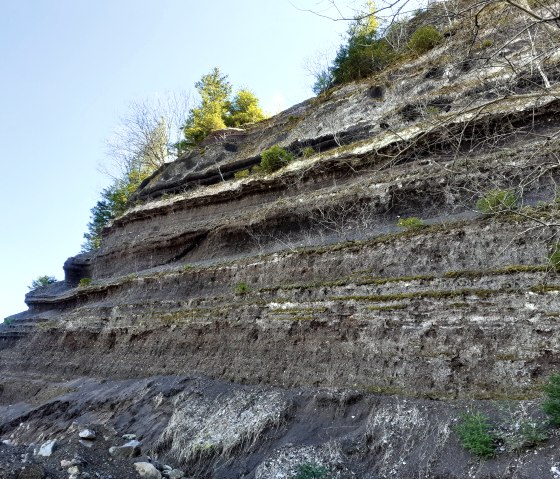 Gesteinsschichten Rockeskyller Kopf (1), © Touristik GmbH Gerolsteiner Land, Ute Klinkhammer