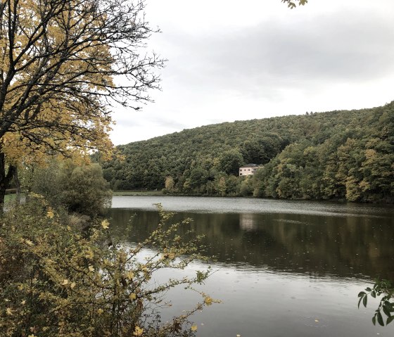 wirftstausee-stadtkyll-herbst-1