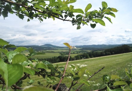 Ausblick Leudersdorf, © Touristik GmbH Gerolsteiner Land, Ute Klinkhammer