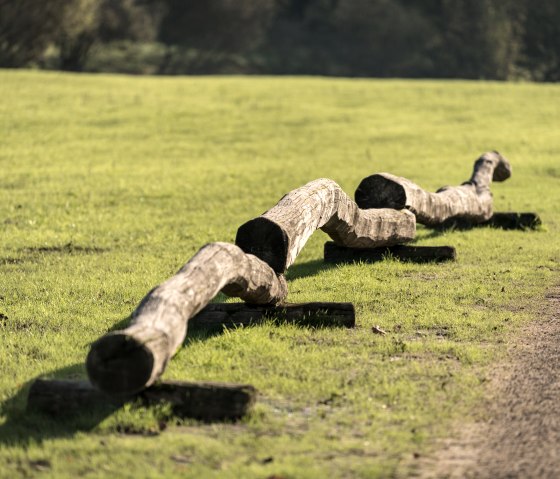 Eifelsteig-2019-124-Bolsdorfer Tälchen, Hillesheim © Eifel Tourismus GmbH, Dominik Ketz, © Eifel Tourismus GmbH, Dominik Ketz