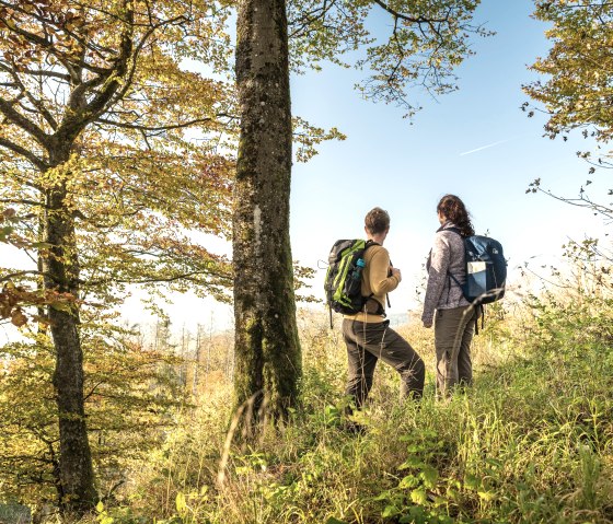 Eifel Wanderer, © Eifel Tourismus GmbH, Dominik Ketz