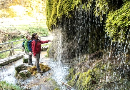 Beeindurckender Wasserfall Dreimühlen, © © Eifel Tourismus GmbH, Dominik Ketz