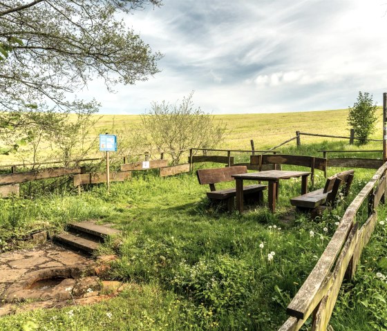 Picknickplatz am Steffelner Drees, © Eifel Tourismus GmbH, Dominik Ketz