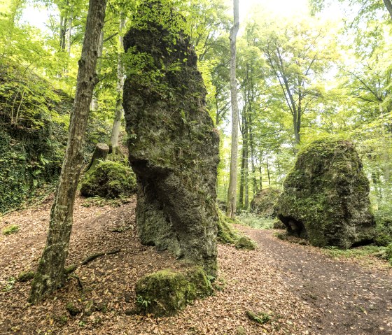 et-2017-316-schneifel-pfad-eishohlen-birresborn-eifel-tourismus-gmbh-dominik-ketz, © Eifel Tourismus GmbH, Dominik Ketz