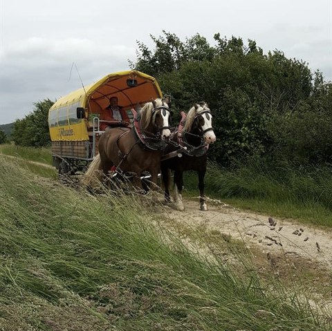 Planwagenfahrt Eifelkutsche (2), © Barger