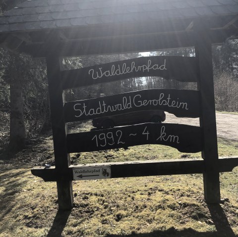 Die Starttafel für den Waldlehrpfad im Stadtwald Gerolstein., © Touristik GmbH Gerolsteiner Land,Leonie Post