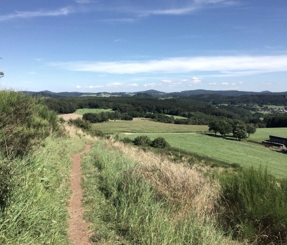 Eifel Wanderung Vulkaneifel