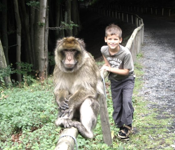 Wildpark Daun, © Gertrud Wieser