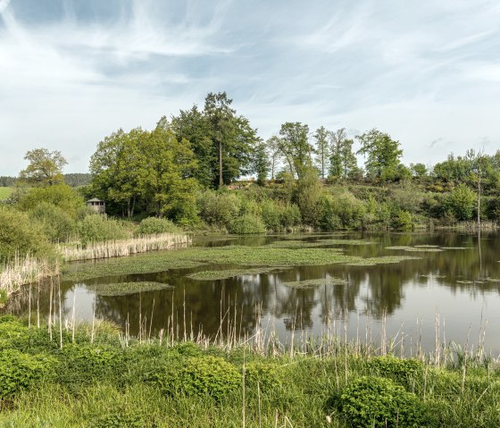 Eichholzmaar, © Eifel Tourismus GmbH, Dominik Ketz