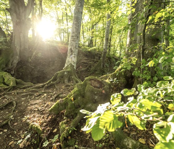 Birresborn Eishöhlen, © Eifel Tourismus GmbH, Dominik Ketz