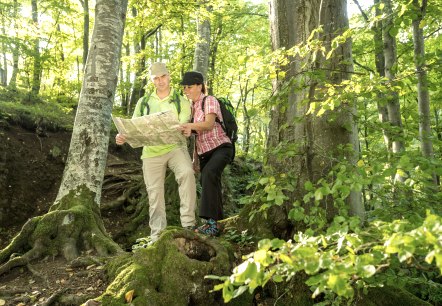 Prospektbestellung, © Eifel Tourismus GmbH, Dominik Ketz