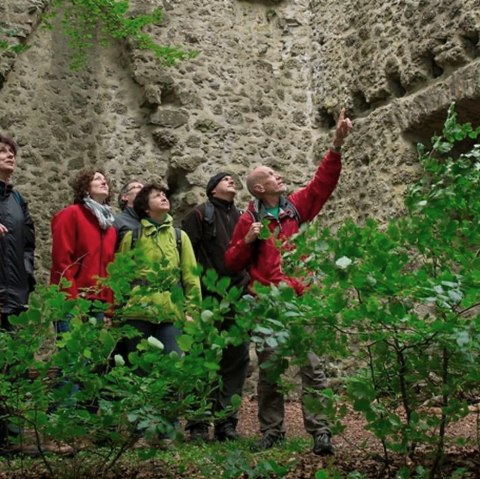 Geführte Tour "Erlesene Portion Eifelsteig", © Johannes Munkler