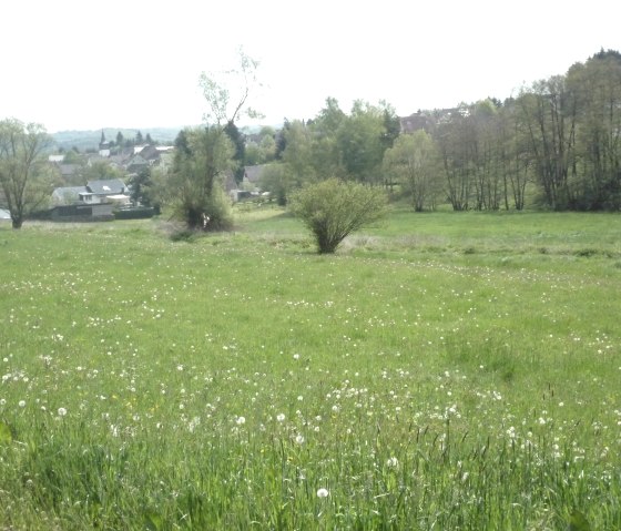 blick-vom-tieferbachweg-kallenberg