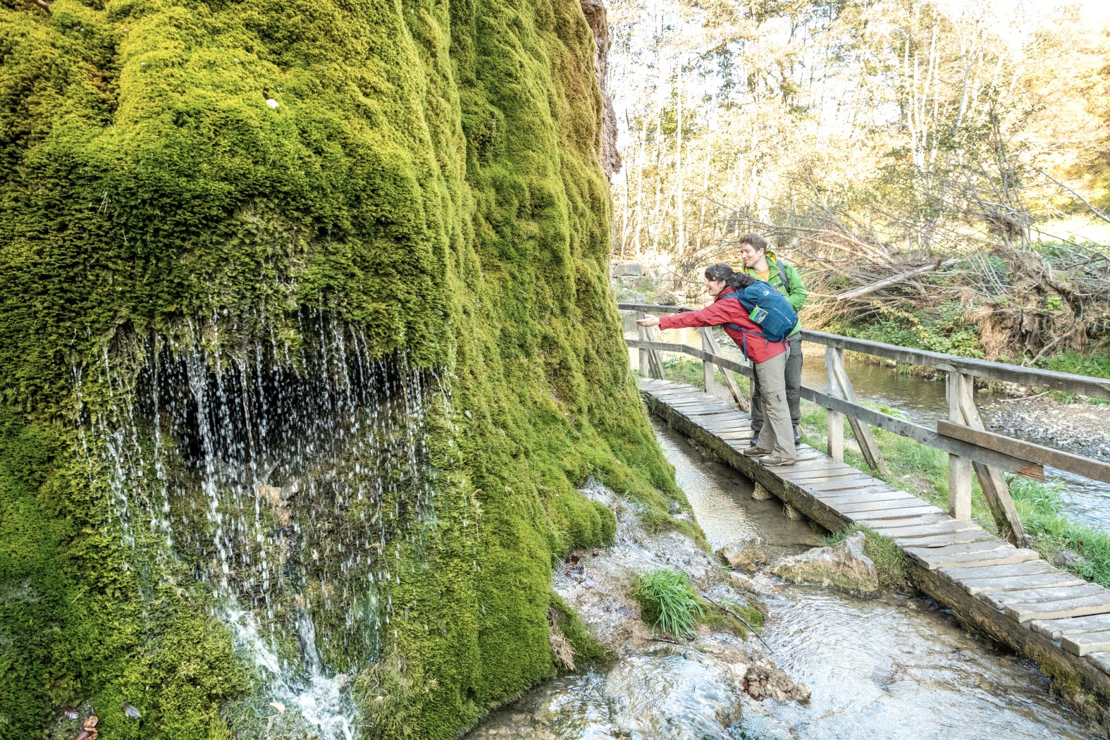 Eifel Tourismus-2021-343-Nohner Wasserfall-© Eifel Tourismus GmbH, Dominik Ketz, © Eifel Tourismus GmbH, Dominik Ketz