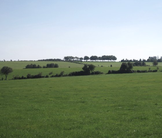 Heckenlandschaft in der Eifel, © Ute Klinkhammer, Touristik GmbH Gerolsteiner Land