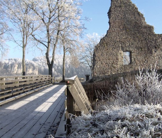 Neujahrswanderung zur Löwenburg