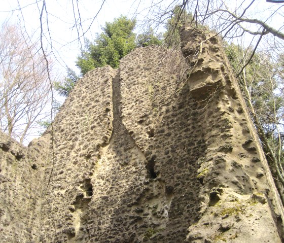 Ausschnitt Burgruine Freudenkoppe, © Touristik GmbH Gerolsteiner Land, Ute Klinkhammer