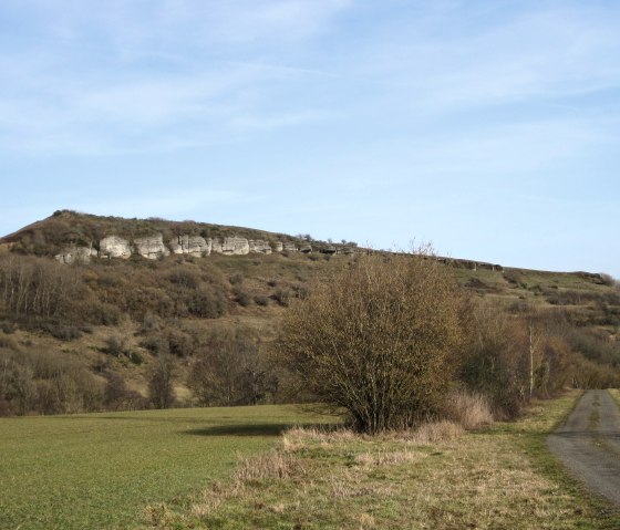 Blick auf den Wöllersberg, © Touristik GmbH Gerolsteiner Land, Ute Klinkhammer