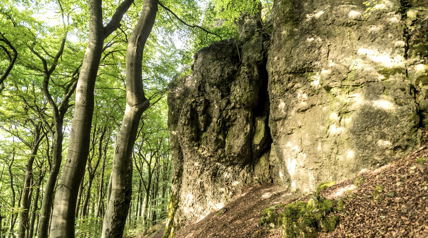 Gerolsteiner Dolomiten-Acht_Felsenpfad,_Buchenlochhöhle_Wald_Wandern, © Eifel Tourismus GmbH, Dominik Ketz