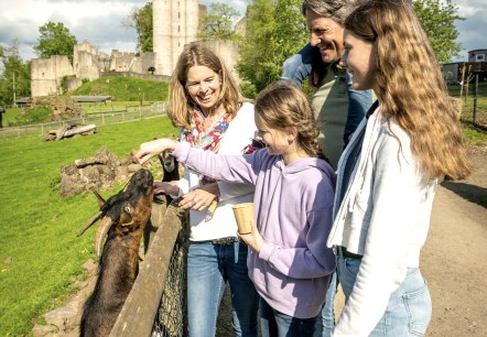 Streichelzoo Adler &amp; Wolfspark Kasselburg, © Eifel Tourismus GmbH, Dominik Ketz